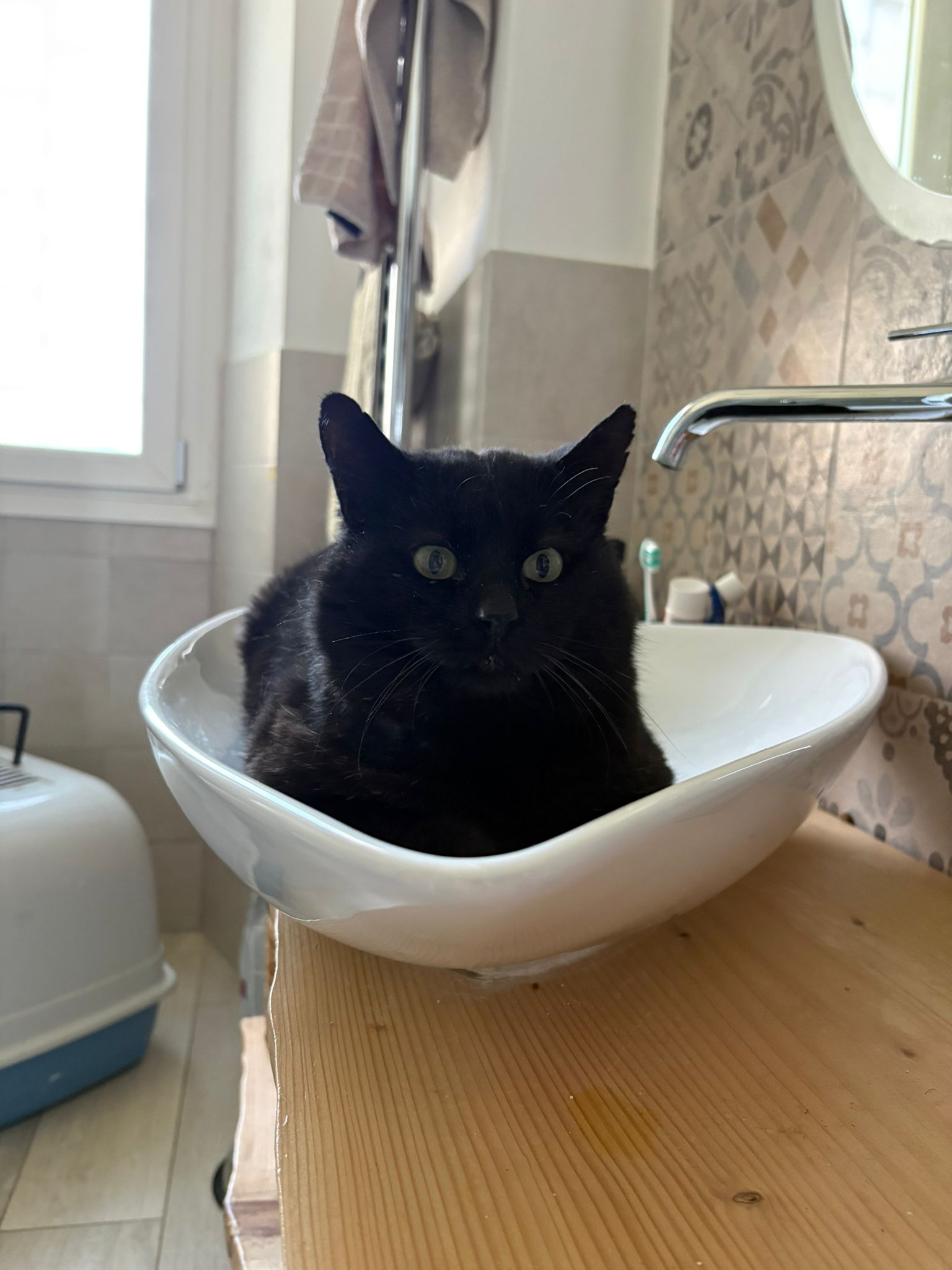 Chicco