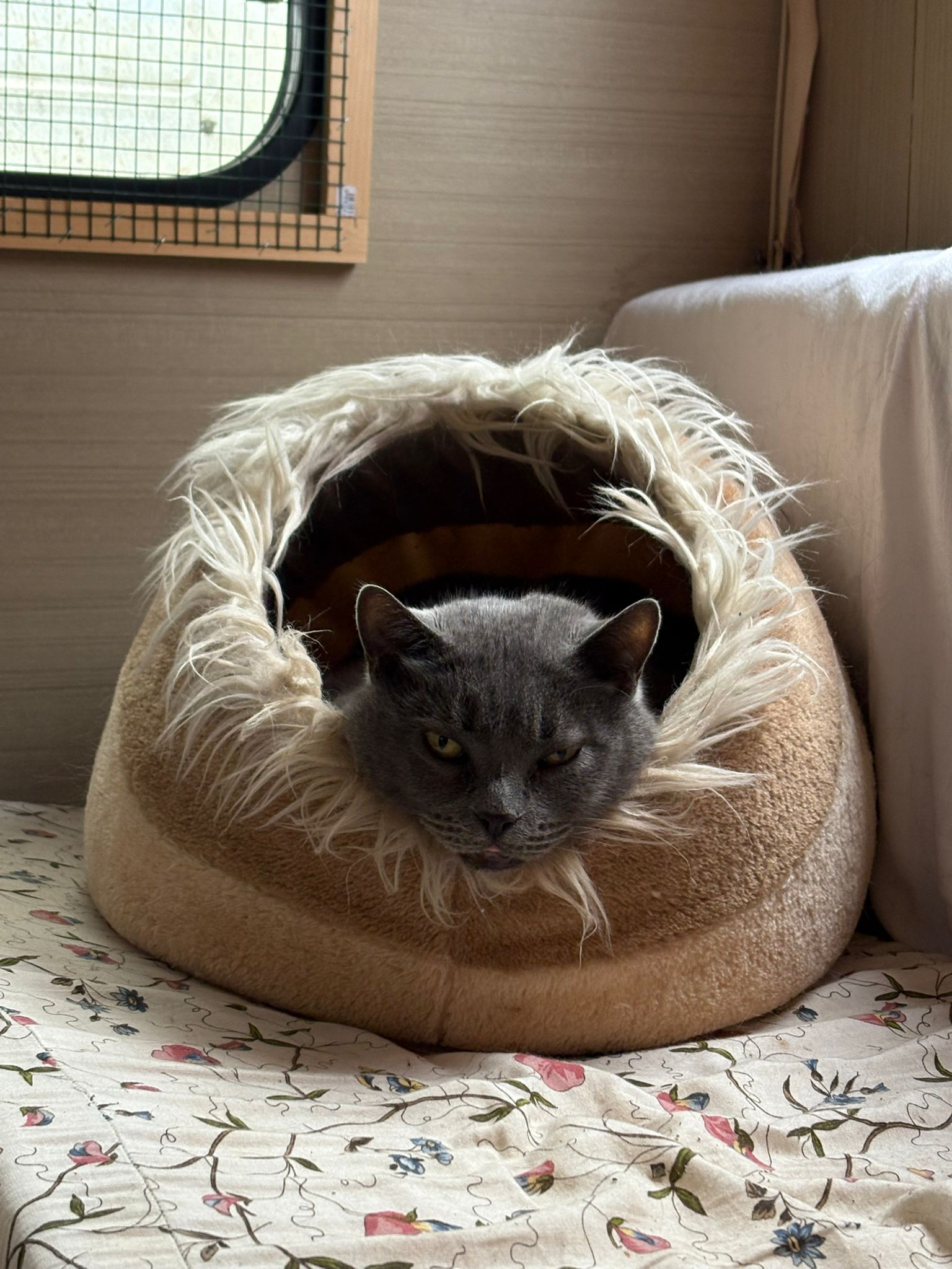 Luna
