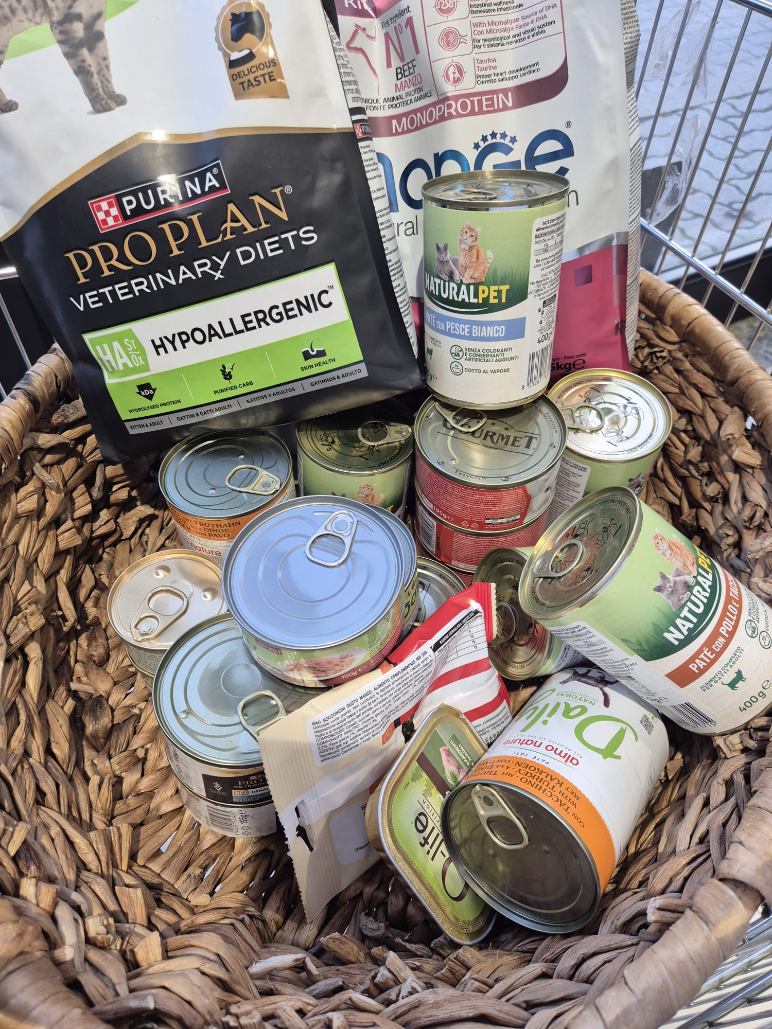 Raccolta alimentare