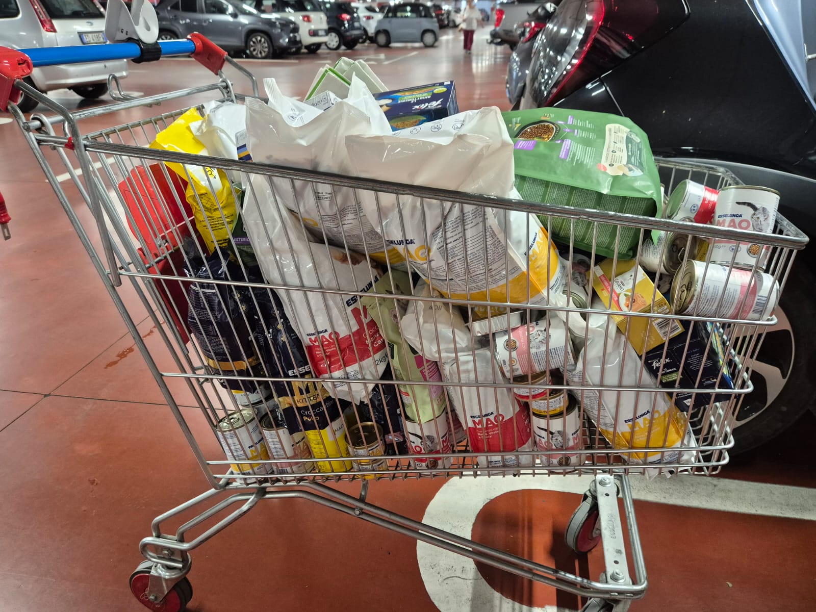Raccolta alimentare